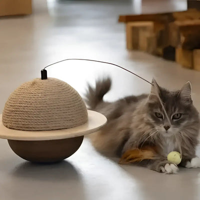 Designed By Lotte - Tiragraffi Legno Globo - 1 Pz