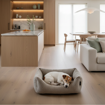TeddyNest Sofa