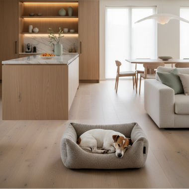 TeddyNest Sofa