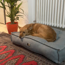 Dog Bed Elegance - Cucce