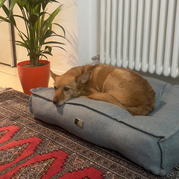 Dog Bed Elegance - Cucce