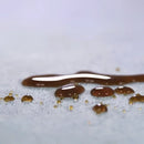 Dog Bed Elegance - Cucce