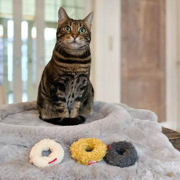 Hoopo Mini Donuts giocattoli per gatti, set da 3