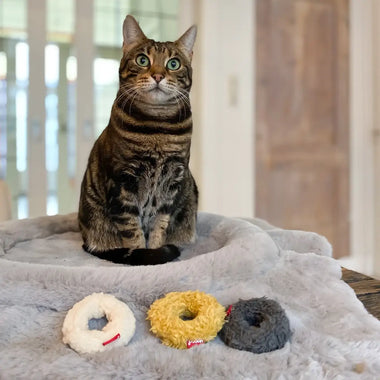Hoopo Mini-Donuts Katzenspielzeug, 3er-Set