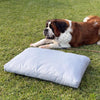 Pet Boutique - Dog Bed Easy Way