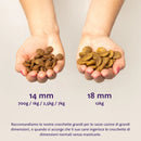 Edgard & Cooper Dog - Cervo e Anatra Freschi - Human Grade