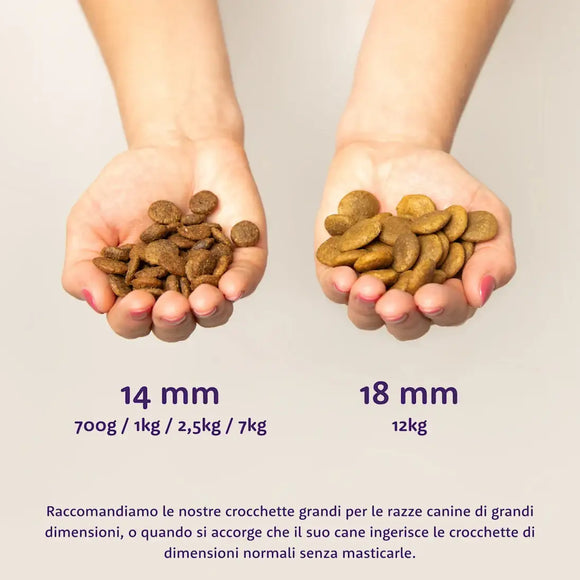 Edgard & Cooper Dog - Salmone Norvegese Fresco - Human Grade