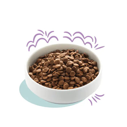 Edgard & Cooper Dog - Salmone e Tacchino - Puppy - Human Grade