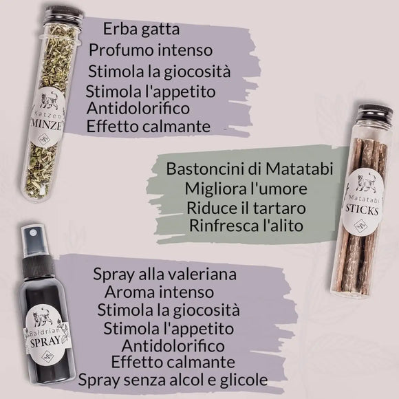 Ne&No®Set de 3 Hierbas para Gatos - Paquete de Regalo Elegante