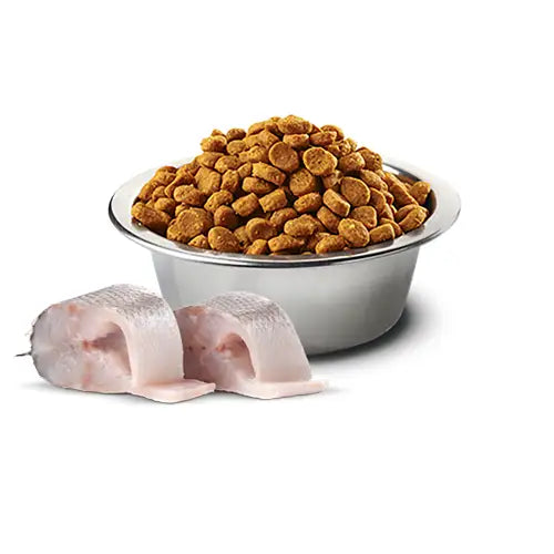 Farmina - N&D Dog White Spigola spirulina e finocchio - Super Premium