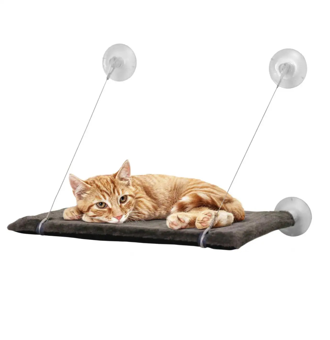United Pets - Futter für Cat View