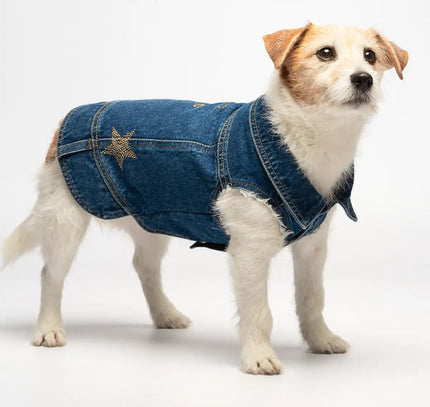 Liu Jo - Chaqueta denim