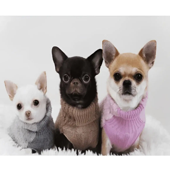 Gold’n Star Maglioncino Lana Bouclé - Maglioncini