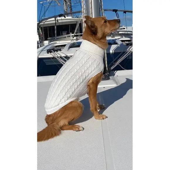 Gold’n Star Maglioncino Trecce - Maglioncini