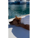 Gold’n Star Maglioncino Trecce - Maglioncini