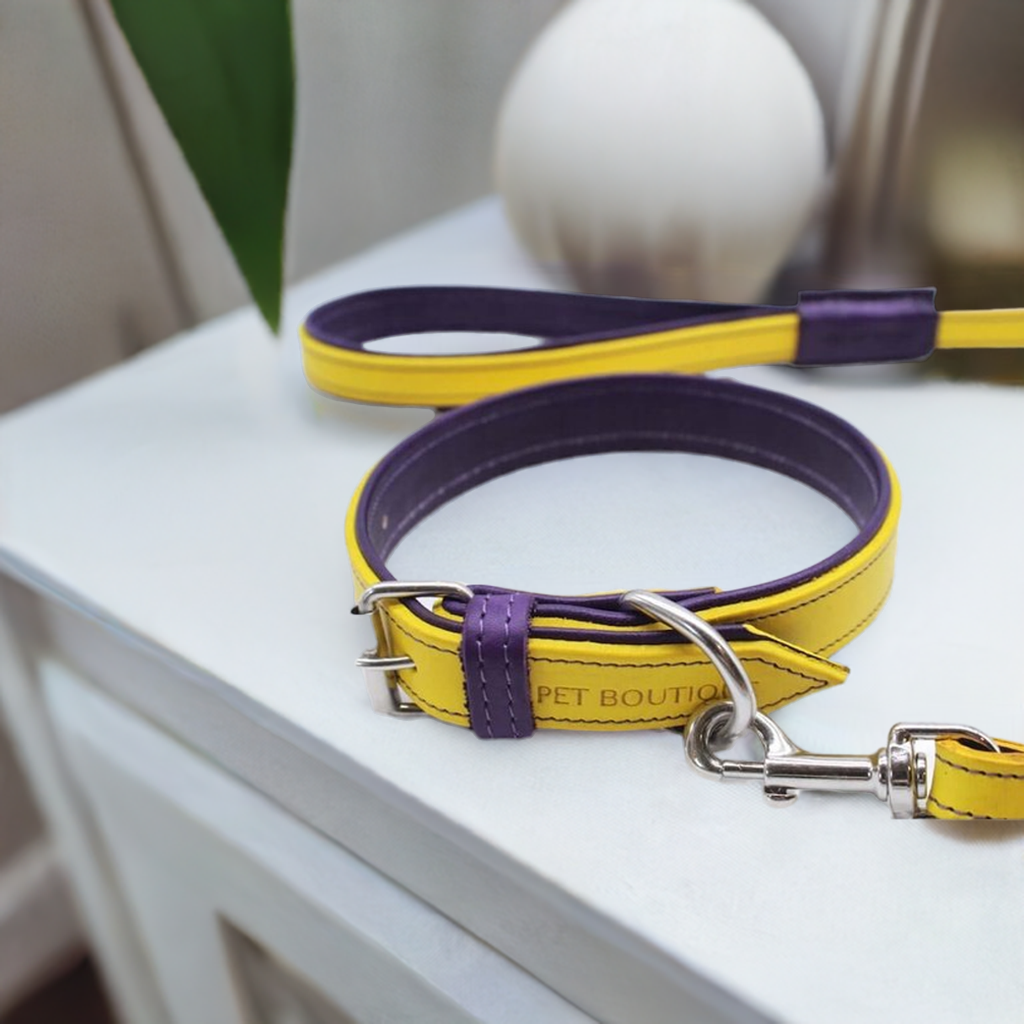 Jet Line Set Yellow & Aubergine