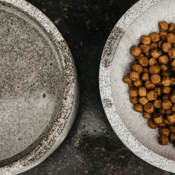 Kentucky - Gamelle pour chiens en granit