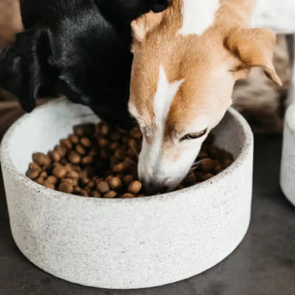 Kentucky - Gamelle pour chiens en granit