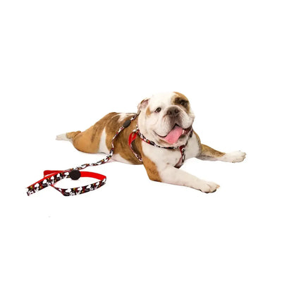 Guinzagli Charlie Brown Film Black