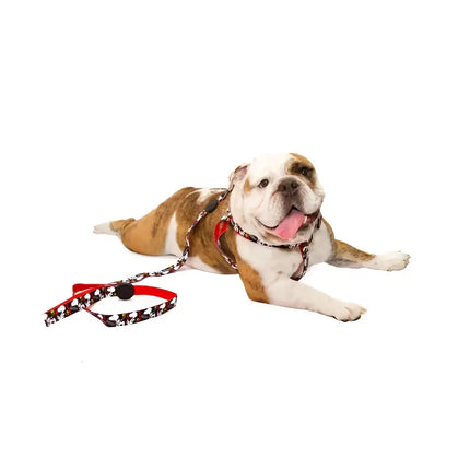 Guinzagli Charlie Brown Film Black