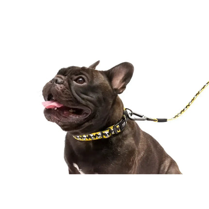 Guinzagli Charlie Brown Yellow