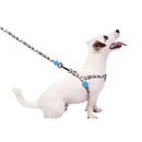 Guinzagli Charlie Brown Zig Zag