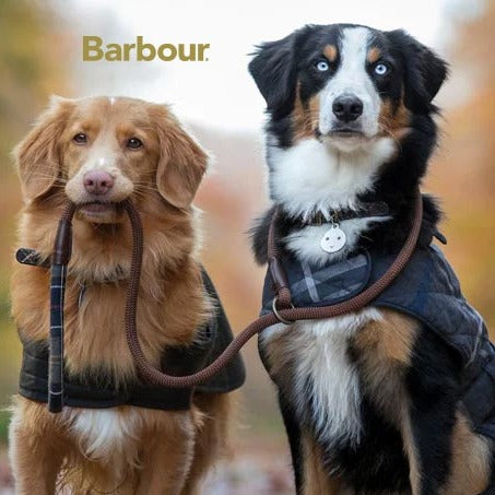 Barbour - Guinzaglio con bordo Tartan