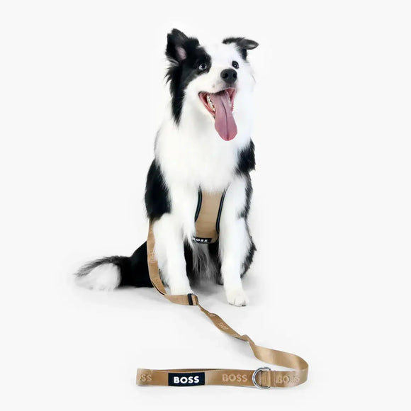 Hugo Boss - Guinzaglio Essential - Guinzagli
