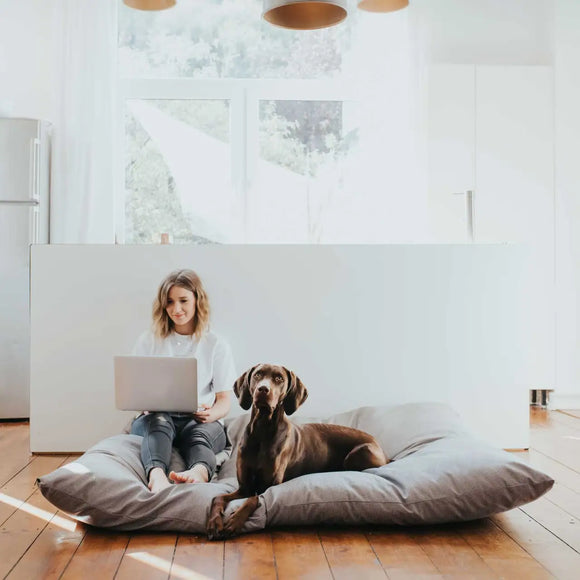 Hunter Maxi Bed Lancaster XXXL - Cucce