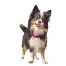 Hunter - Scaldacollo Malmö - Maglioncini