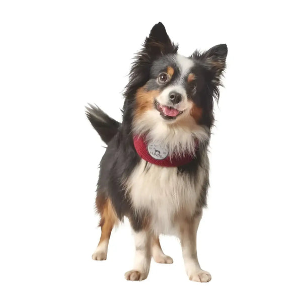 Hunter - Scaldacollo Malmö - Maglioncini