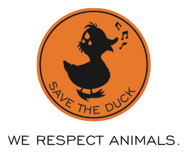  Save the duck