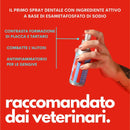 Jampy - Spray dentale Kiss Me 💋 - 100ml - 100 ml - Detergenti e Igiene