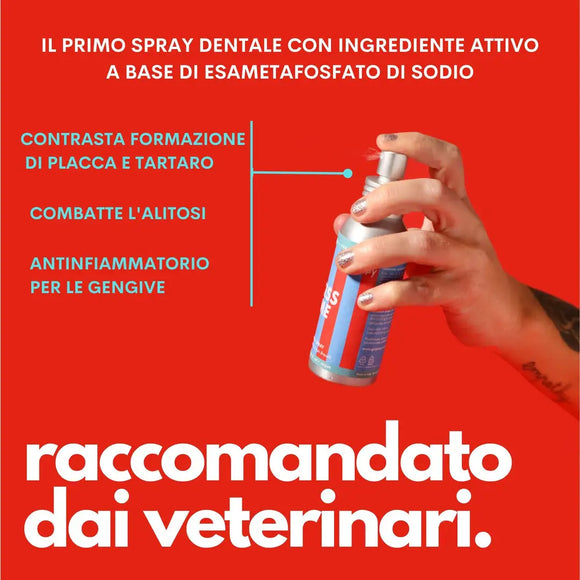 Jampy - Spray dentale Kiss Me 💋 - 100ml - 100 ml - Detergenti e Igiene