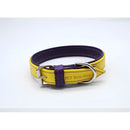 Jet Line set in Pelle Giallo & Melanzana - Guinzagli