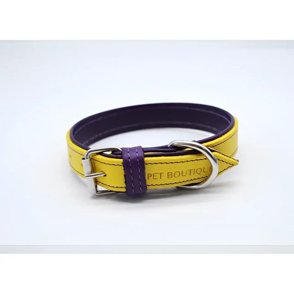 Jet Line set in Pelle Giallo & Melanzana - Guinzagli