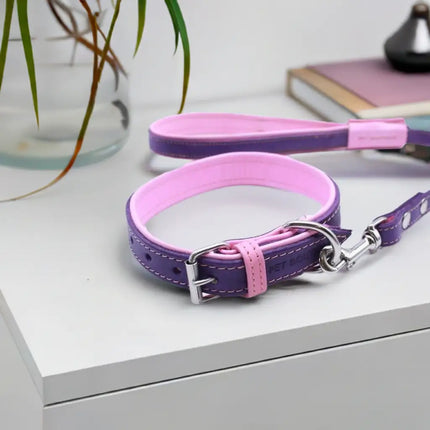 Jet Line set in Pelle Melanzana & Rosa - Guinzagli