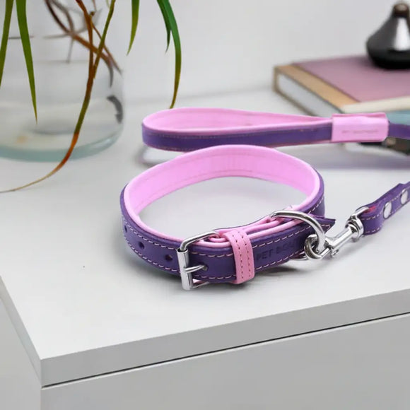 Jet Line set in Pelle Melanzana & Rosa - Guinzagli