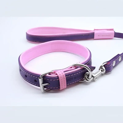 Jet Line set in Pelle Melanzana & Rosa - XXS - Guinzagli