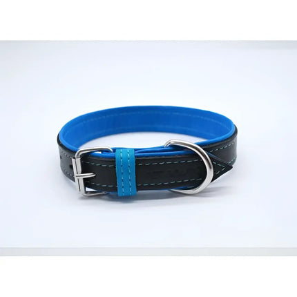 Jet Line set in Pelle Nero & Azzurro - Guinzagli