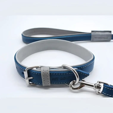 Jet Line set in Pelle Petrolio & Mercurio - XXS - Guinzagli