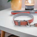 Jet Line set in Pelle Salmone & Mercurio - Guinzagli