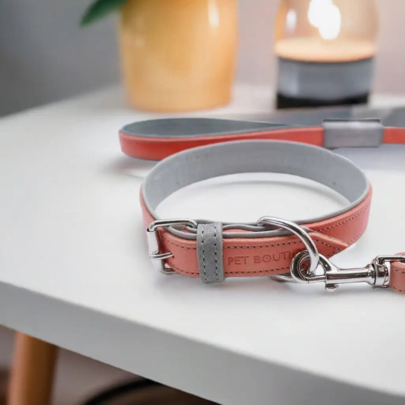 Jet Line set in Pelle Salmone & Mercurio - Guinzagli