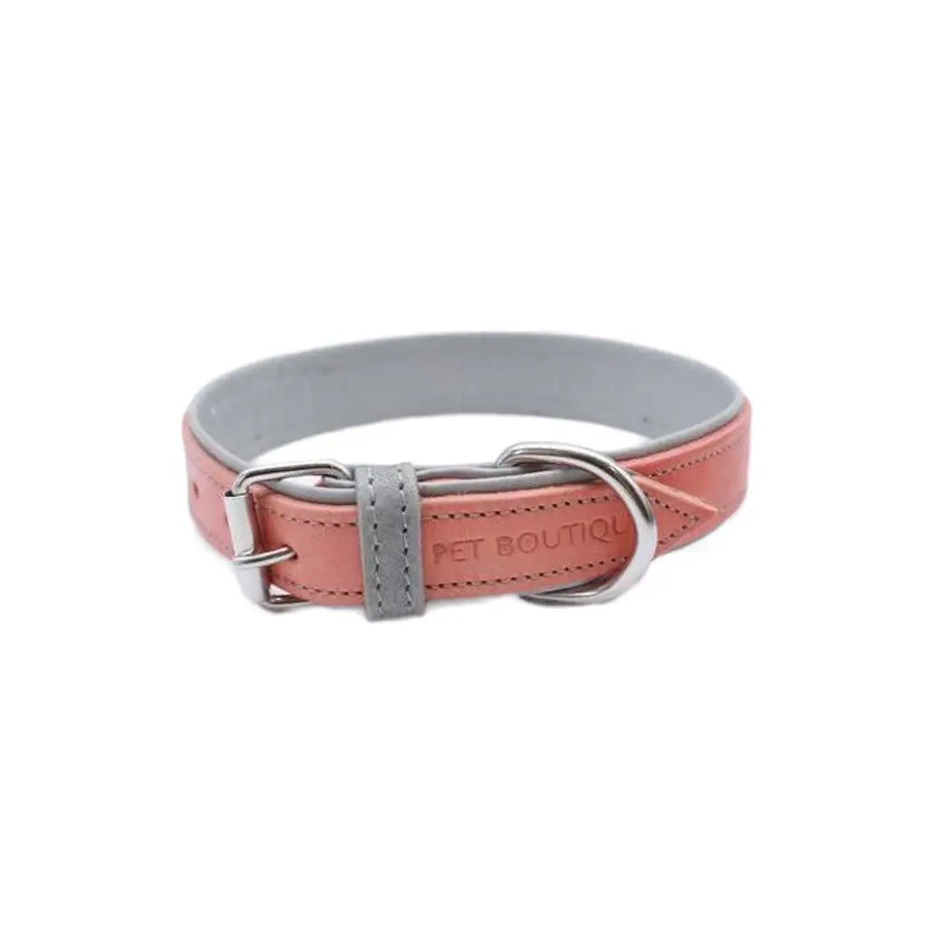 Jet Line set in Pelle Salmone & Mercurio - Guinzagli