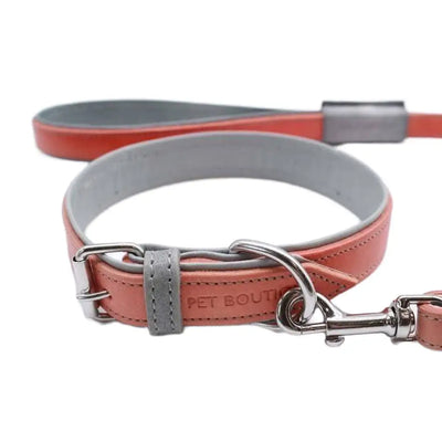 Jet Line set in Pelle Salmone & Mercurio - XXS - Guinzagli