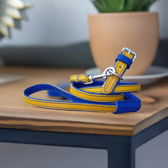 Jet Line Set in Pelle Senape & Blu elettrico - Guinzagli