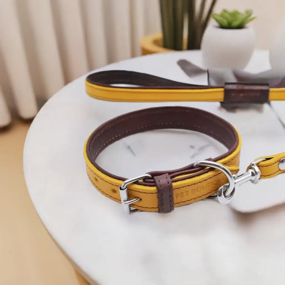 Jet Line set in Pelle Senape & Testa di moro - Guinzagli