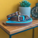 Jet Line set in Pelle Testa di Moro & Turchese - Guinzagli