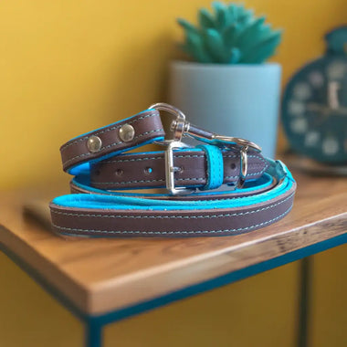 Jet Line set in Pelle Testa di Moro & Turchese - Guinzagli