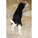 Kentucky - Accappatoio per cani - Detergenti e Igiene